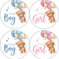 Cgvovgr 80 Pcs Team Boy or Girl Stickers, Gender Reveal Stickers Boy or Girl - Set of 80 Beautifully Designed Labels for Baby Sh