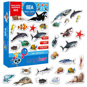 Fridge Magnets For Toddlers - 30 Sea Photo Kids Magnets For Fridge - Toddler Magnets For Refrigerator - Magnetic Animals - Fridge Magnets For Kids - Animal Magnets - Toddler Fridge Magnets