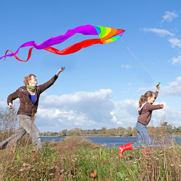 HENGDA KITE Colourful Triangle Kite with Two Tails for Kids Beginners and Adults Easy to Fly and Assemble Suitable for Outdoor A