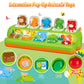 Duchong Interactive Pop Up Toys, Montessori Cause And Effect Toys For 1 Year Old Boy Girl, Early Learning Toys With Music & Ligh