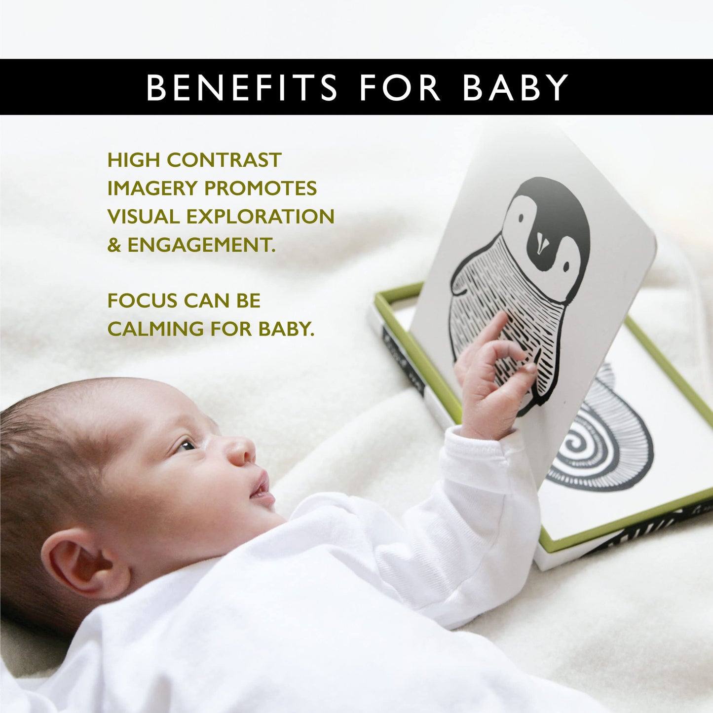 Wee Gallery Black And White Animal Art Cards For Babies, Durable High Contrast Vision Cards, Brain Development Educational Learning Tool For Newborn, Infant, Baby, Toddler - Rainforest Animals