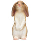 Mojo Rabbit Sitting Realistic International Wildlife Hand Painted Toy Figurine