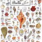 Heritage Puzzle 550-Piece Shells of Sanibel & Captiva - 18"x24" Cardboard Coastal Nature Art by John & Jackie Leatherbury Douglass