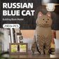 HJPLPXH Cat Micro Building Blocks Set - Adorable Silver-blue Storage Box, 6.89" x 8.43", Ideal for Cat Lovers, Kids & Adults