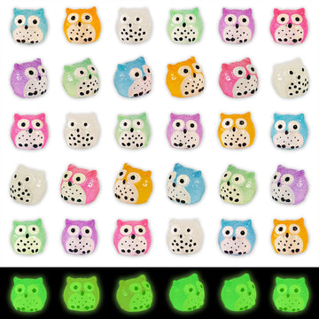 Fexia 30Pcs Mini Resin Owls Collection Mini Resin Animals To Hide Tiny Glow In The Dark Figures For Aquariums Dollhouses Fairy G