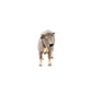 Schleich Farm World Realistic Galloway Cow Figurine - Highly Detailed And Durable Farm Animal Toy, Fun And Educational Play For Boys And Girls, Gift For Kids Ages 3+