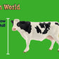 Schleich Farm World Starter Set - 4 Collectible Toy Farm Animals (Cow, Sheep, Donkey Foal, Rooster) - Multi - Model 42385 - Ages 3+