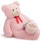Hollyhome 5Ft Giant Teddy Bear Stuffed Animal Huge Teddy Bear Plush With Big Footprints Valentines Gift 5 Feet 5 Feet Pink