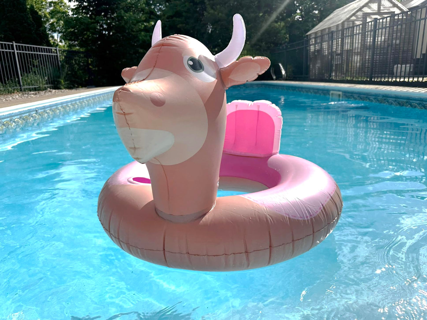 NPW Bull Pool Float Ring - Inflatable Vinyl Toy, Large Pink, FA-BULL-OUS, Perfect for Summer Adult Bachelorette Pool Decorations
