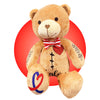 Personalized Heart Warrior Teddy Bears - Baby Heart Surgery Gift - Open Heart Surgery Bears - Custom Scar Buddy - Chd Awareness