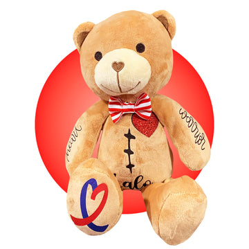Personalized Heart Warrior Teddy Bears - Baby Heart Surgery Gift - Open Heart Surgery Bears - Custom Scar Buddy - Chd Awareness