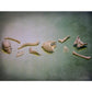 Accoutrements Itty Bitty Bones Glow In The Dark 10 Piece Set - Miniature Bones For Tiny Halloween Displays - Random Soft Vinyl B