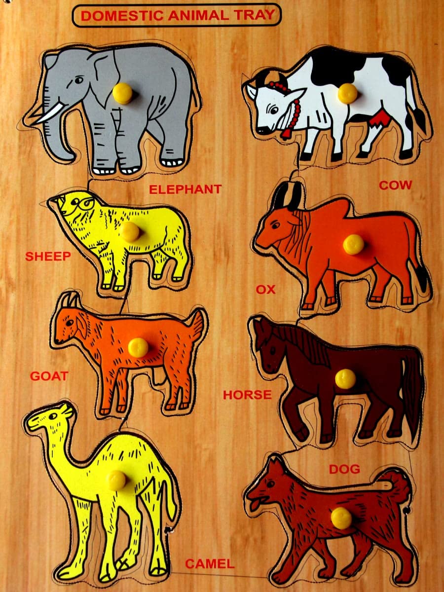 Domestic Animal Picture Wooden Tray
