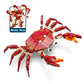 Neomoner Ocean Animal Building Blocks, Deep Sea Creatures Building Toy Set For Kids Boy Girl Crab(242Pcs)