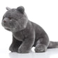 TAMMYFLYFLY Lifelike British Shorthair Cat Plush Stuffed Animal Toy British Shorthair Cat Animal Model 32cm