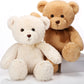 Hydren 2 Pack Plush Bear Stuffed Animals 18 Inch Cute Stuffed Bear Cuddly Bears Plush For Graduation Children'S Day Birthday Bab