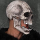 CosTribe Creepy Full Head Skull Mask with Moving Jaw Halloween Scary Latex Helmet for Cosplay Party Props. (White)