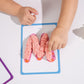 Educational Insights Playfoam Shape & Learn Flash Card Set, Multi, Ages 3+, Foam, Model 1915, Sensory Learning Toys