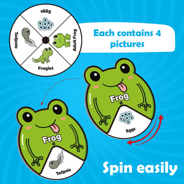 Kasfalci Life Cycle Toys For Kids,Animal Plant Insect Bug Ladybug Butterfly Tadpole To Frog Kit,Montessori Learning & Education