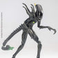 Diamond Select Toys Alien vs. Predator Blowout Alien Warrior Action Figure 1:18 Scale Multicolor LA0069