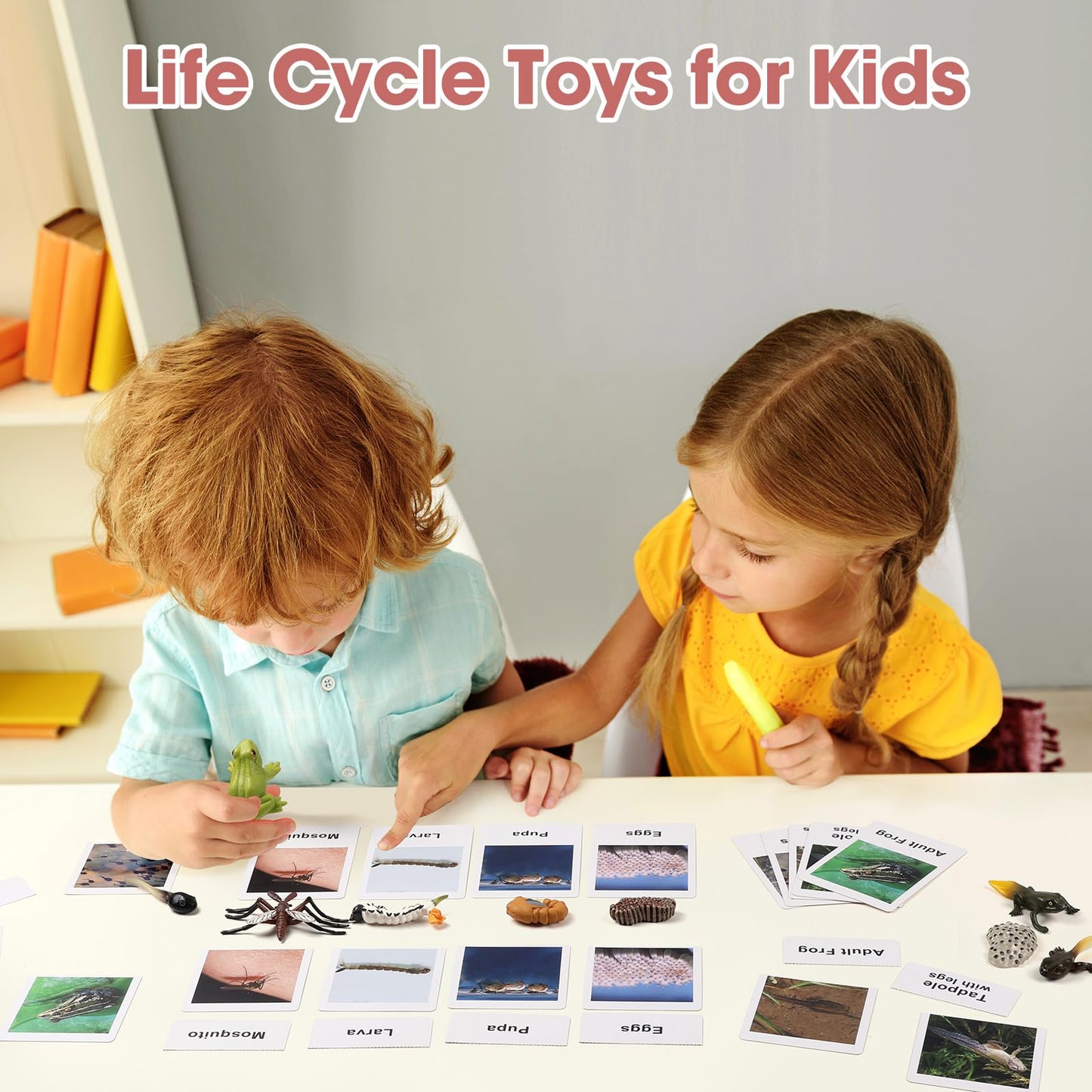 Meroco Live Tadpole To Frog Life Cycle Toys For Kids Mosquito Bug Toys For Kids 3-5 Animal Matching Game Life Cycle Figurines Fo