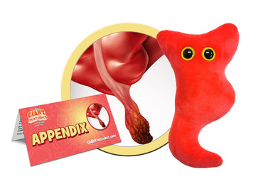 GIANTmicrobes Appendix Plush Toy - 5" Beige/Cream, Soft Plush Material, Ideal Appendectomy Gift and Surgery Recovery Support