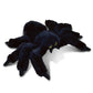 Dollibu Black Spider Plush Toy - Super Soft Spider Stuffed Animal For Boys And Girls, Cute Spider Stuffed Animal, Realistic Stuffed Spider Plush Gift, Spider Decor For Baby, Kids, Adults - 8 Inches