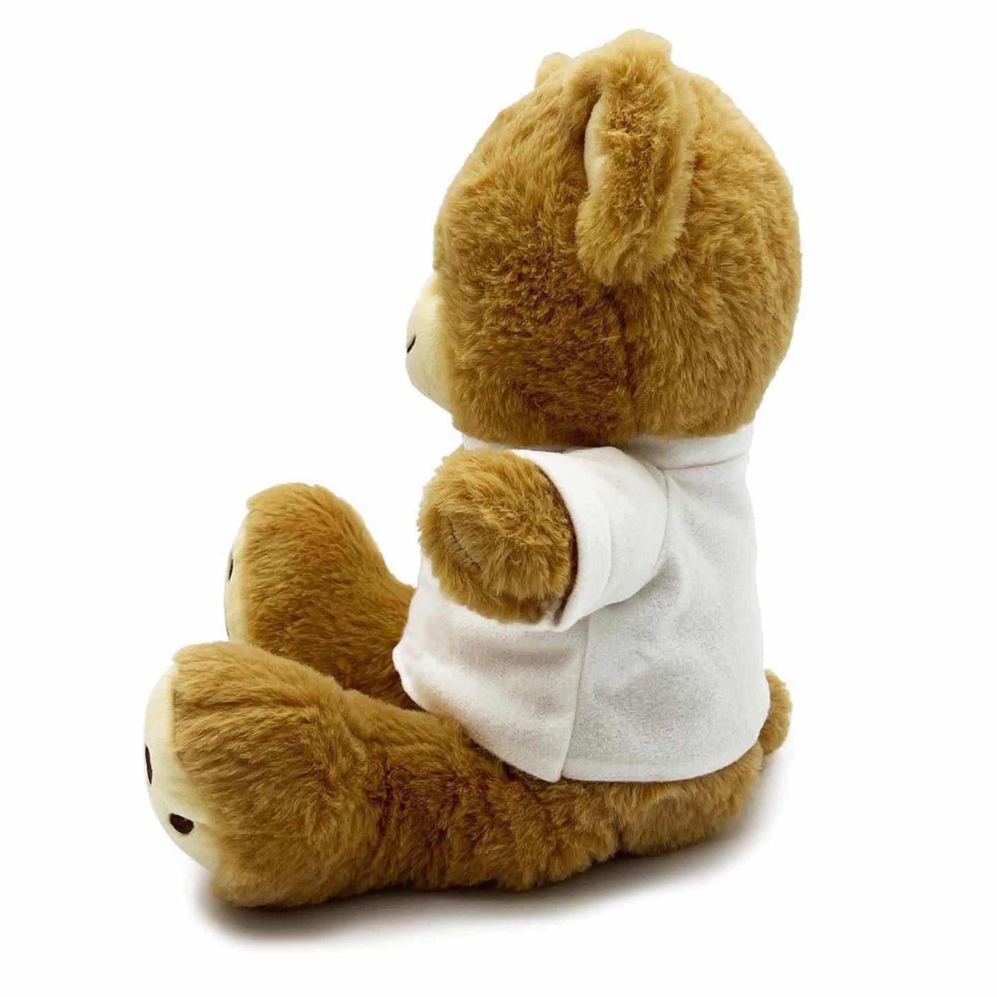 Dibsies Personalized Teddy Bear (Be Mine)