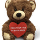 I Miss Your Face So Effin Much - 10'' Teddy Bear & Gift Bag - Funny Stuffed Animal Plush Gift For Girlfriend, Boyfriend, Best Fr