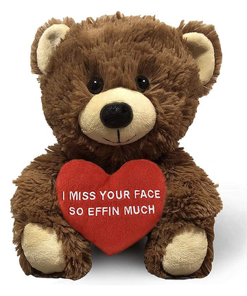 I Miss Your Face So Effin Much - 10'' Teddy Bear & Gift Bag - Funny Stuffed Animal Plush Gift For Girlfriend, Boyfriend, Best Fr