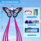 2 Pack Kids Kites - Small Butterfly & Skull Designs, Easy To Fly Kites For Ages 8-12, Beach & Park Outdoor Activities, Perfect E