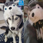 GADMEXILY Plush Husky Animal Hat for Halloween Christmas,Cozy Funny Hats Novelty Party Cap for Kids Girls Boys - One Size (Husky