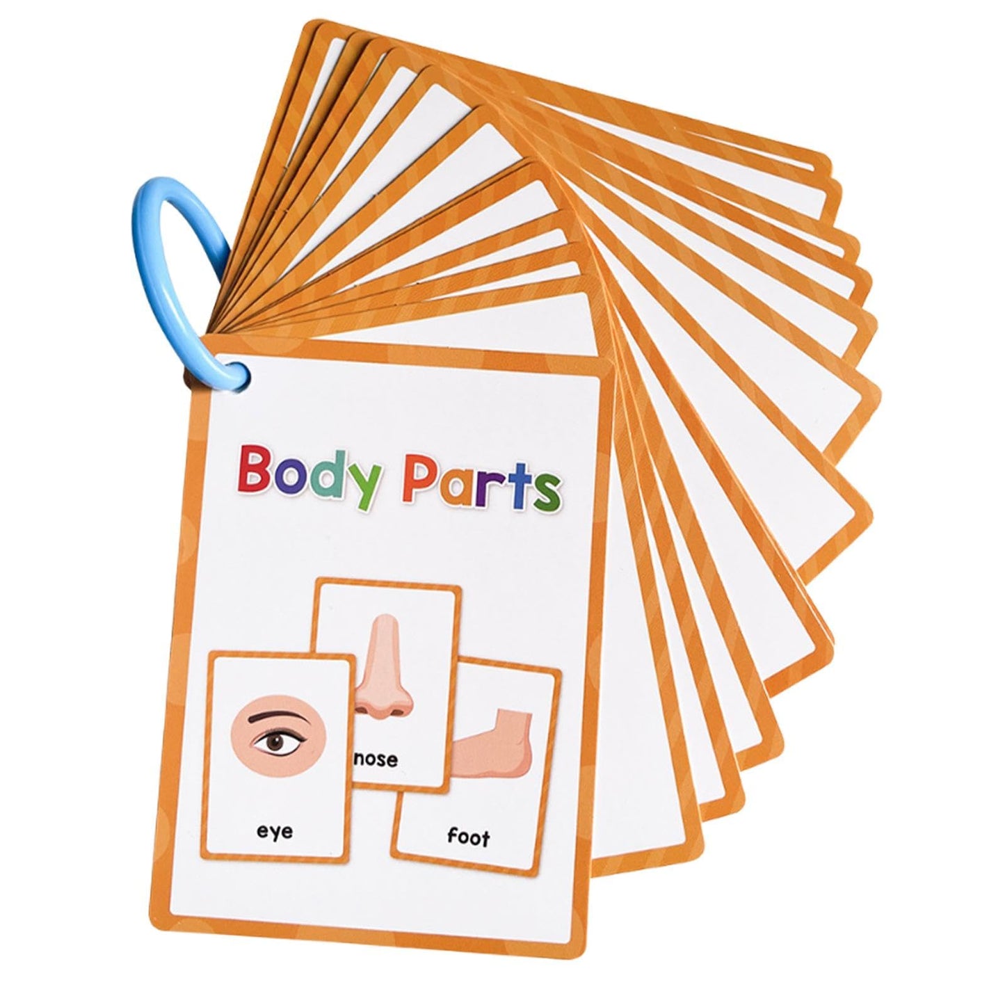 Jazzy Pearls Parts Flash Cards Cognitive Educational Toys Kindergarten Baby Children|Toys & Hobbies | Educational | Other Educat