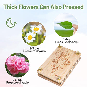 Suziko Large Flower Press Kit for Adults Kids, Flower Plant Preservation Kit Measures 10.8 x 6.9 inch Arts and Crafts for Adults