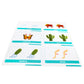 Pat's Flash Cards 50 English Irregular Plural Noun Flash Cards