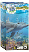 Dolphins