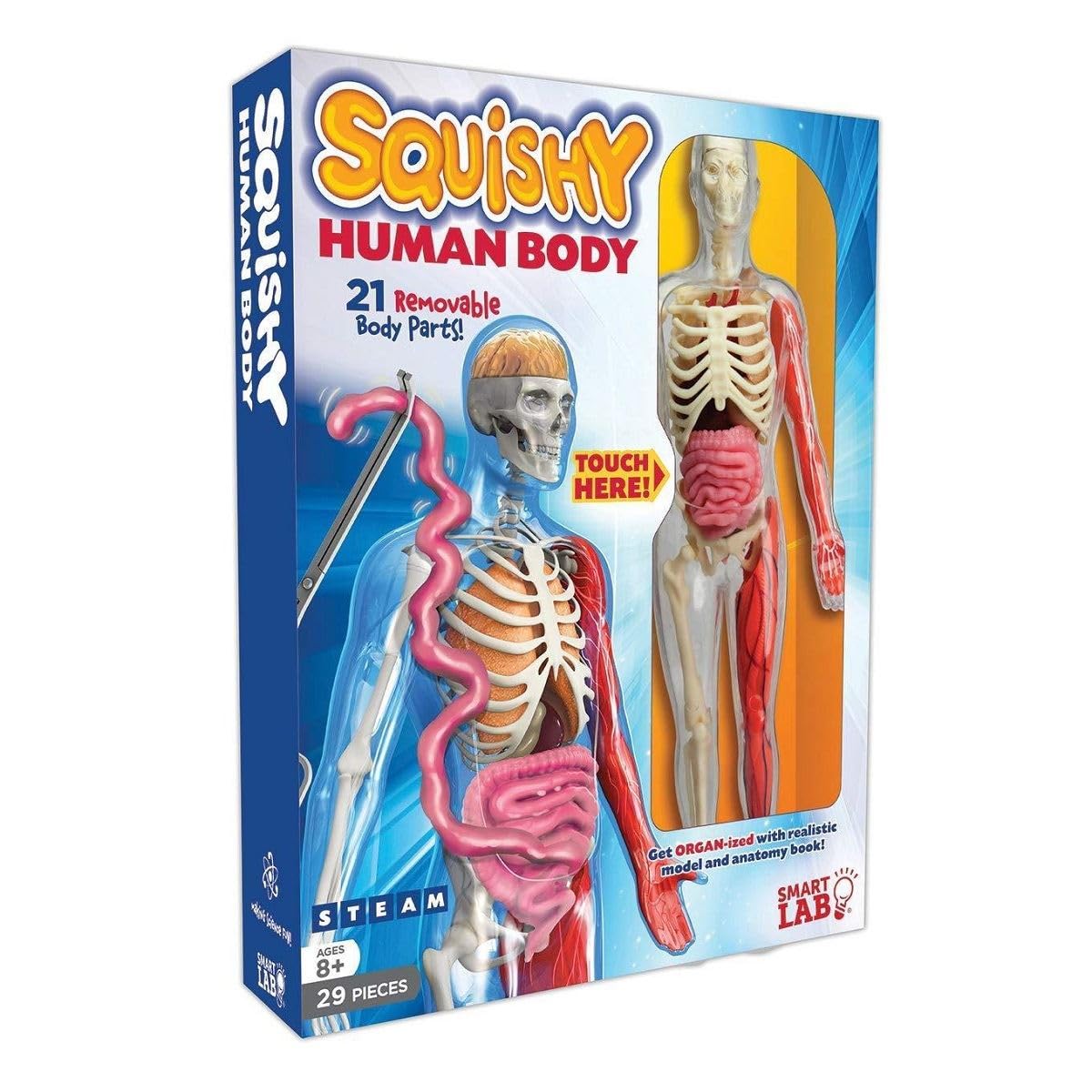 SmartLab Squishy Human Body Toy - 21 Removable Parts, Anatomy Book, Standard Size, Multicolor, Model 06428