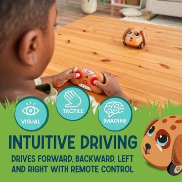 Flybar Poko Petz, Remote Control Car For Toddlers Dog Toys - 2.4Gh For Boys And Girls, Light Up Toddler Toys, Singing, Talking Toys, Preschool Toys, Best Birthday, Toddler Gifts For Ages 3 And Up
