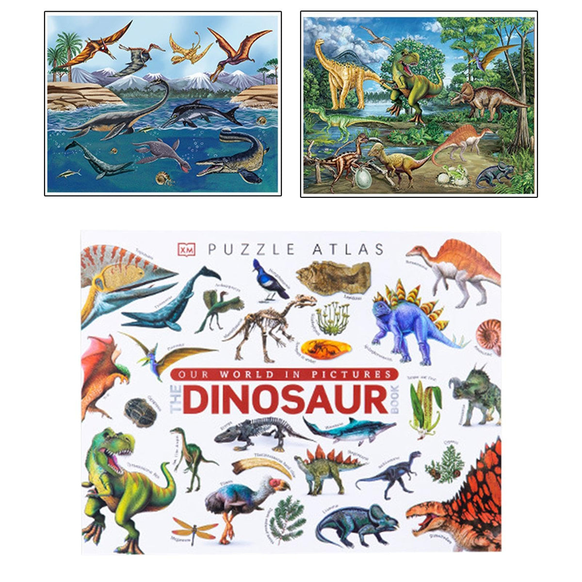 Merishopp Montessori Toys Preschool Learning Basic Skills For Children Dinosaur| Baby Learning Toy | Infant Activity Toy | Senso