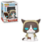 Funko Your Favorite Grumpy Cat, Stylized As A Pop! Vinyl From, Multicolor (34107)