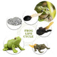 Mbrain5Pcs Frog Growth Cycle With Flash Cards,Life Cycle Learning & Education Toys,Montessori Toys,Gift For Girl & Boy For 3 4 5