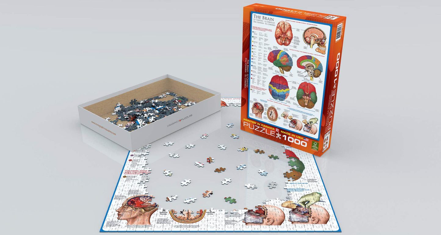 Eurographics Human Body (The Brain) 1000 Piece Puzzle