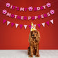 Vicycaty Puppy Dog Birthday Banner, Mother Puppers, It'S My Bday, Pink Pennants, 98.43X16.69 Inches Cardboard