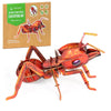 Stem Toys For 7 Year Old Boys Learning Toys Eco-Friendly Preschool Puzzles Fun For Birthdays, Valentine'S Day And Special Occasi