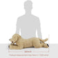 Lotfancy Dog Stuffed Animals, 26'' Cuddly Golden Retriever Stuffed Animals, Dog Plush Toy, Large Stuffed Dog, Beige