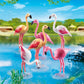Playmobil Flock Of Flamingos Building Kit