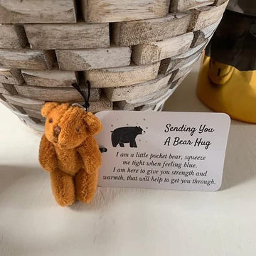 Siluyado A Little Pocket Bear Hug - Sending You A Bear Hug, With Pocket Hug Token Card, Emotional Support Plush Positive Gifts F