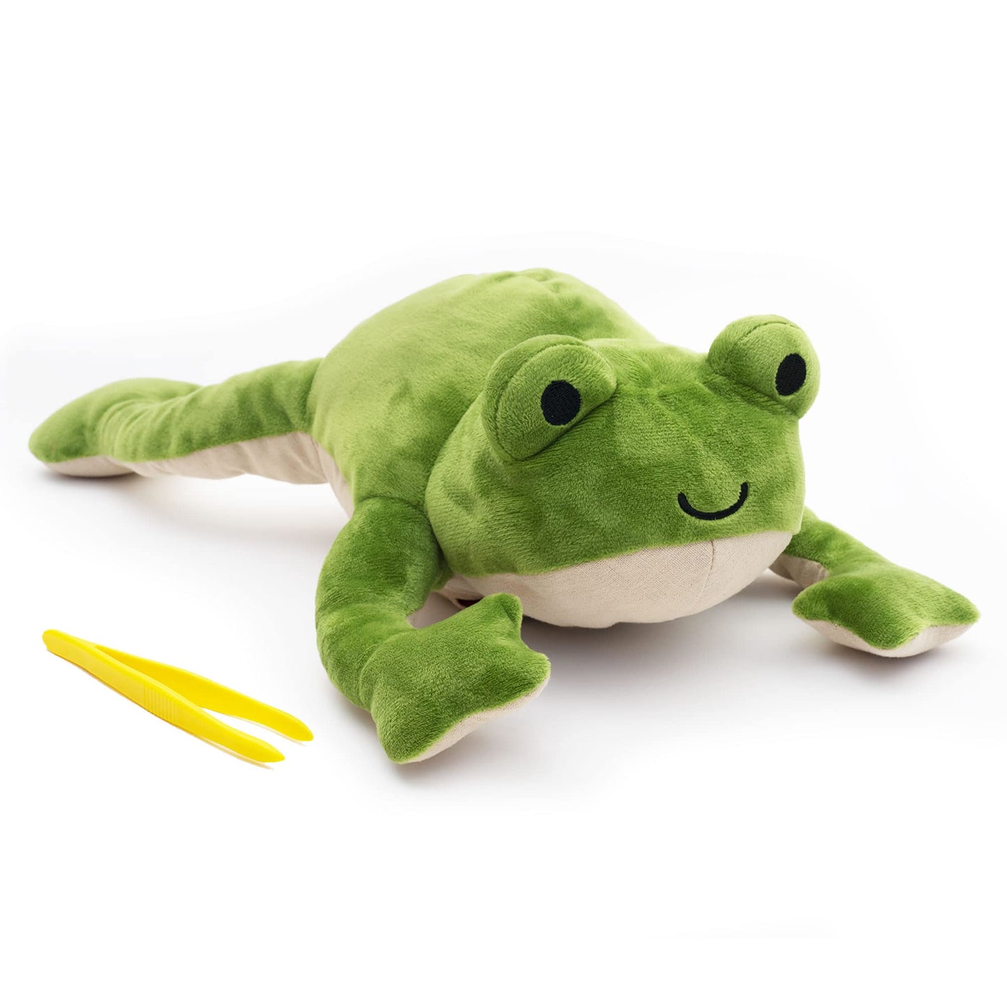 Kiwico Froggie Lab Dissection, Frog Plush Toy | Anatomy Learning Toy & Stuffed Animal For Fun And Educational Play | Science Toy
