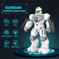 Intelligent Programmable RC Robot