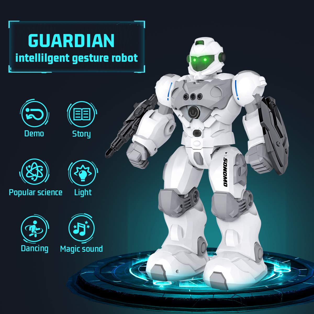 Intelligent Programmable RC Robot